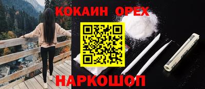 прущие грибы Аша